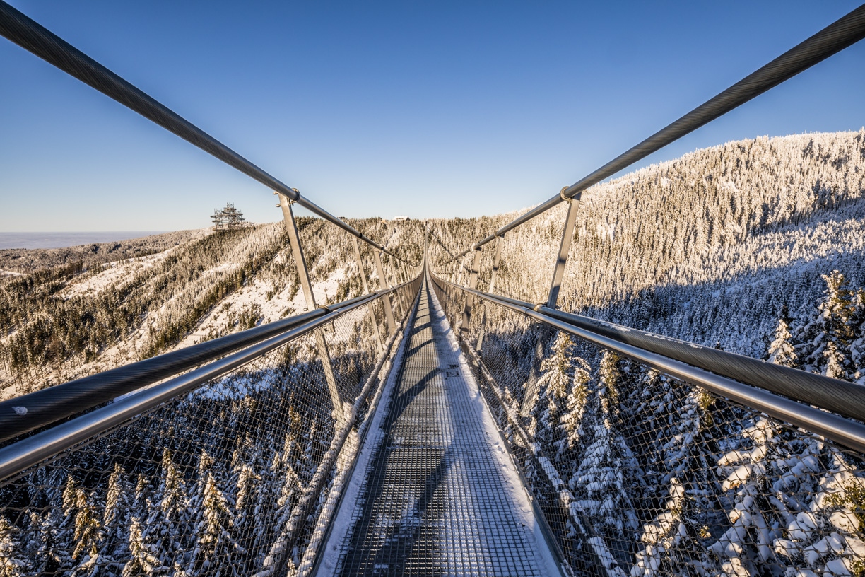 Dolní Morava skybridge zimą